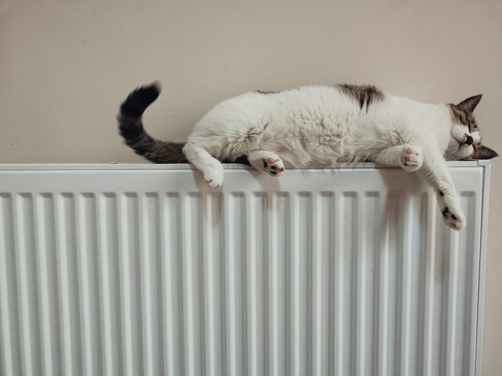 ombouw radiator
